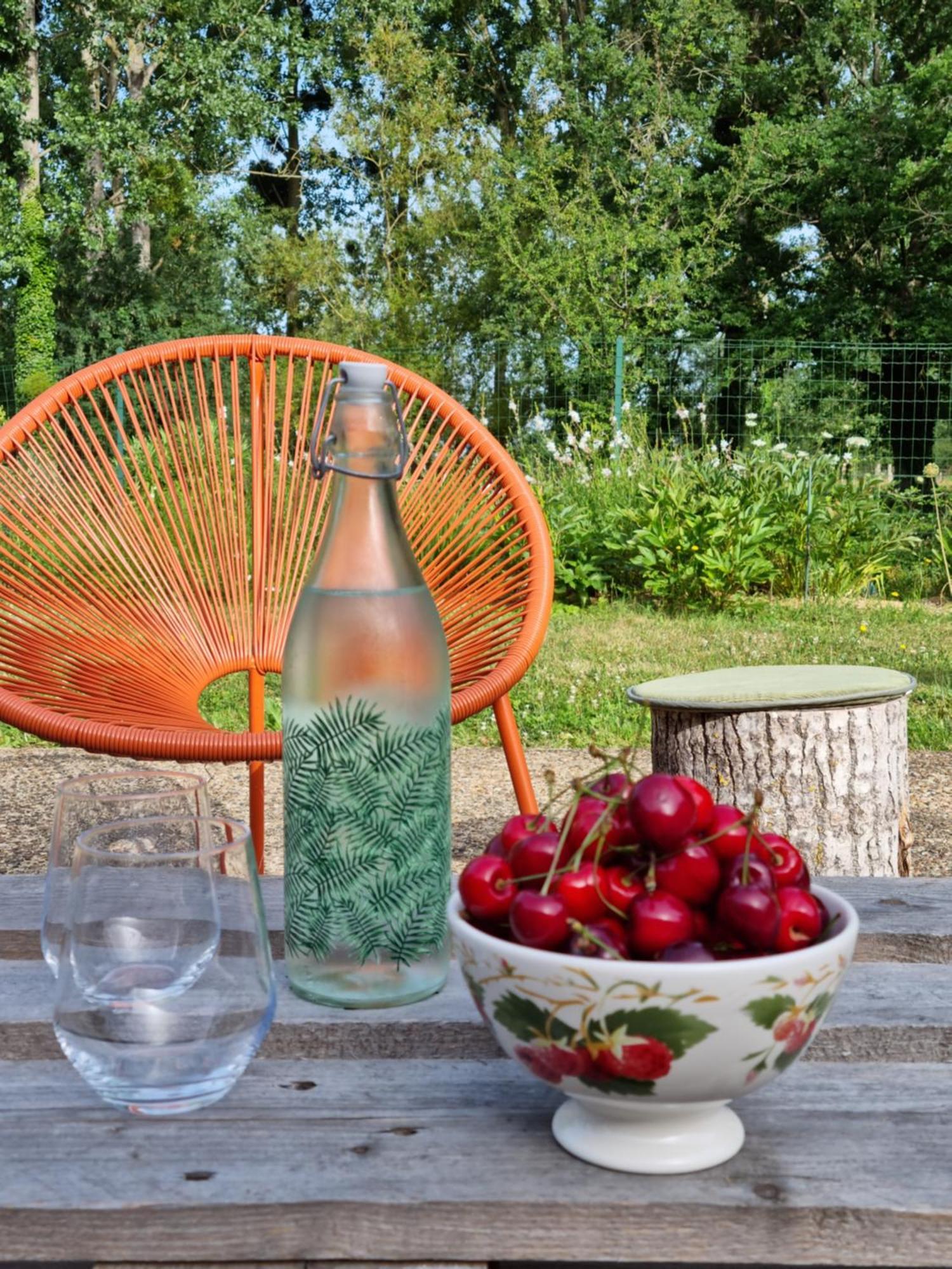 L 'Aupinouse Chambre Double Pivoine Avec Salle D'Eau Privative La Suze-sur-Sarthe Eksteriør billede